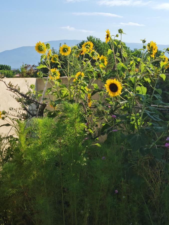 Petit Gite De Provence Mazan Buitenkant foto