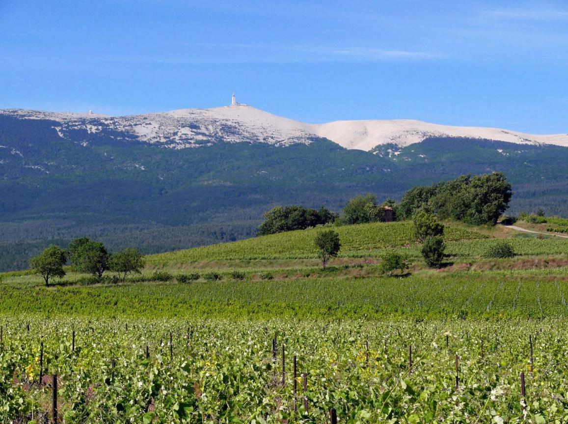 Petit Gite De Provence Mazan Buitenkant foto
