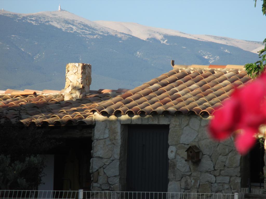 Petit Gite De Provence Mazan Buitenkant foto